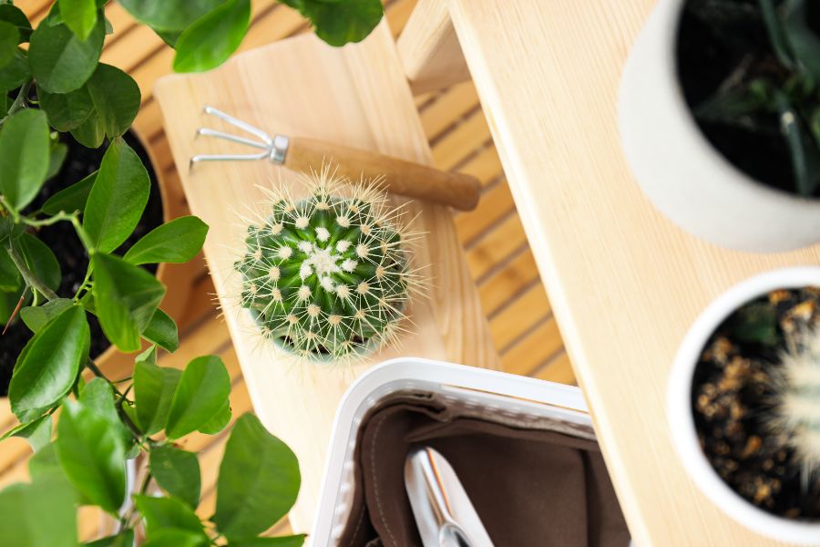 top 3 des serres d'intérieur 2025