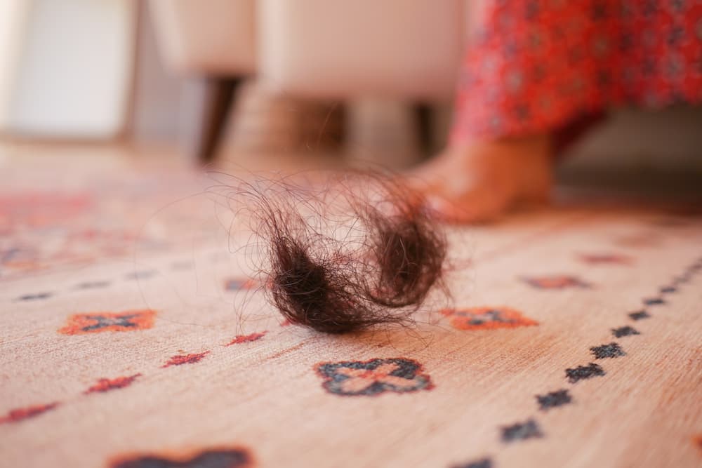 usages alternatifs feuilles assouplissantes enlever poils de tapis