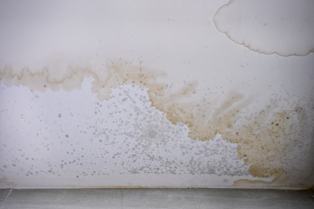 enlever auréole d’humidité plafond facilement