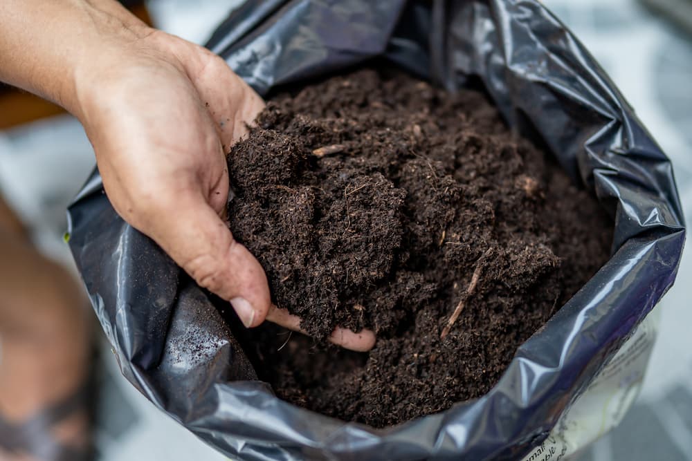 comment savoir si le terreau est encore bon après l’hiver