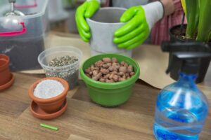 est-il bon de fertiliser les plantes d'intérieur en hiver