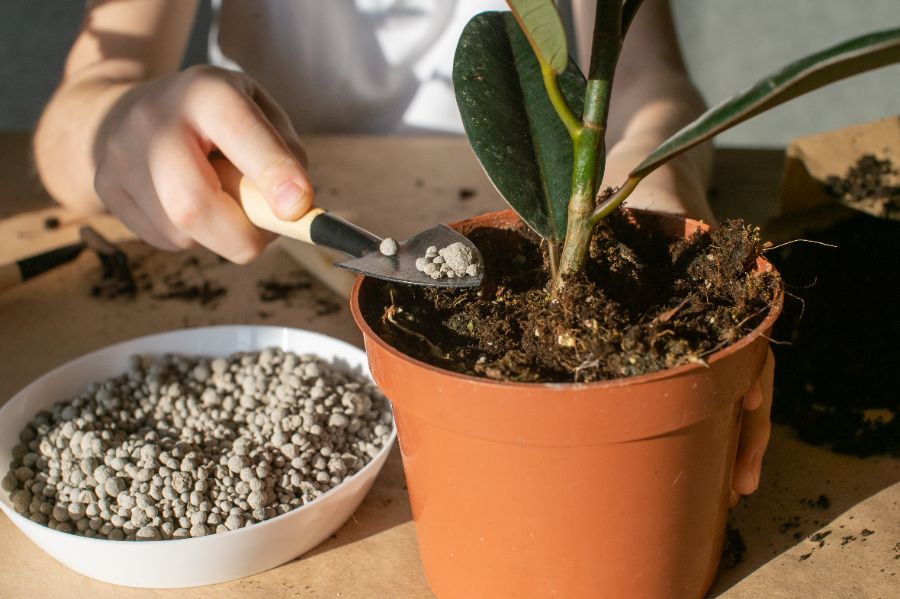 fertilisation en hiver tout ce que vous devez savoir