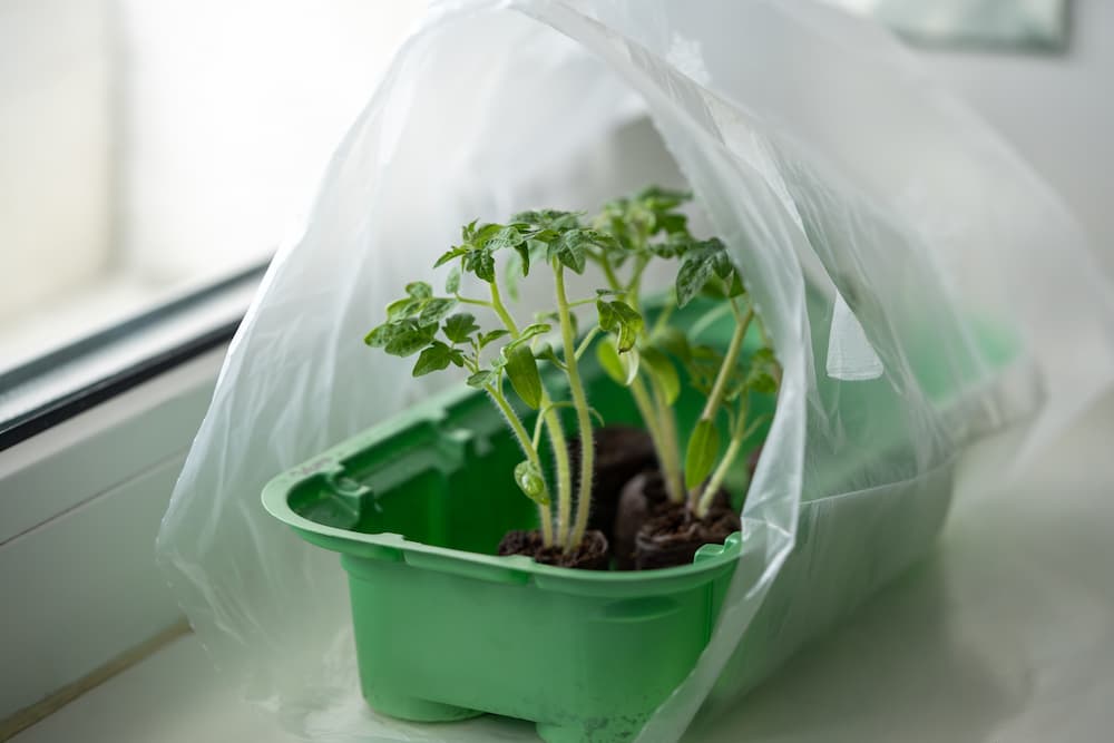 mini serre d’intérieur pour semis avec récupération boîte et sac en plastique