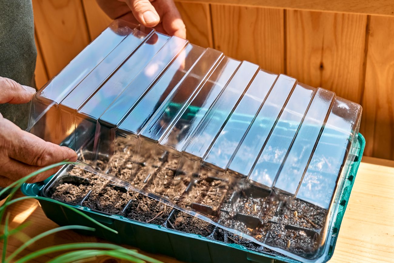 mini serre pour cultiver des plantes aromatiques à l'intérieur
