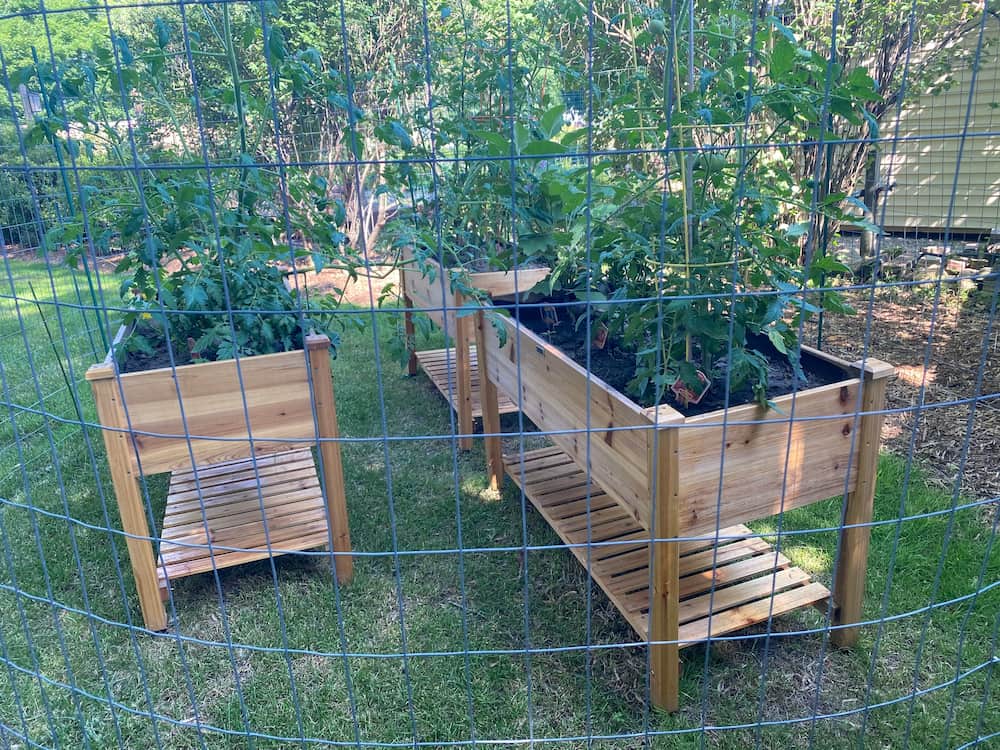 quel grillage à poules choisir pour protéger les légumes