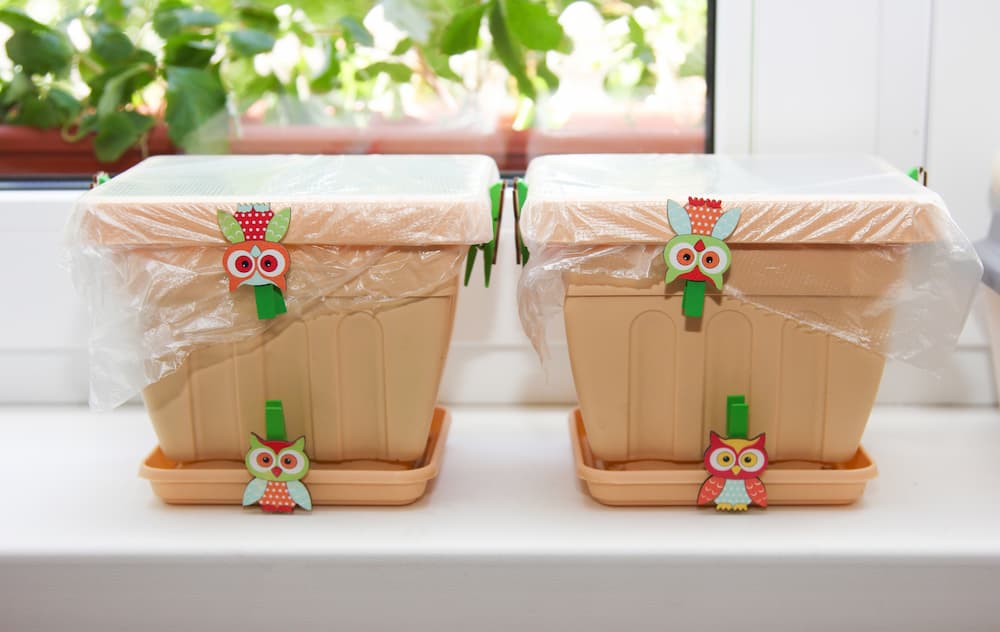 réemploi de pots plastiques pour jardin urbain mini-serre diy