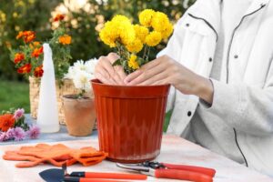 réutiliser les vieux pots en plastique