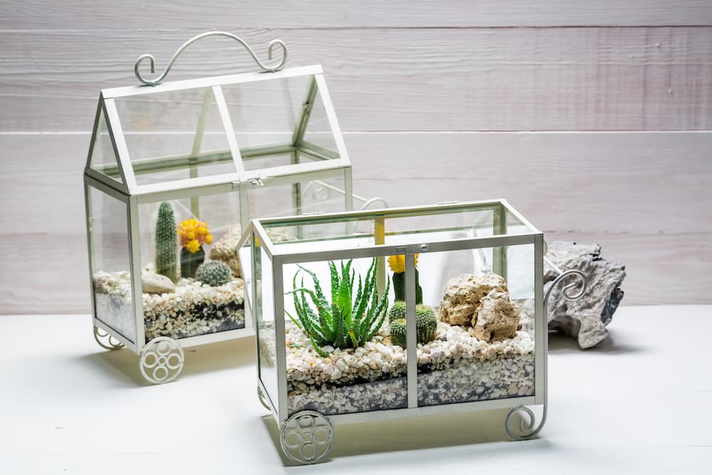 serre d’intérieur écologique avec objets recyclés cadres photo