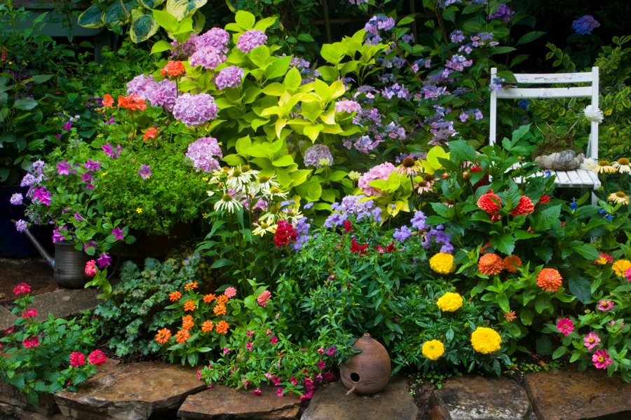 massif de fleurs devant la maison 2026