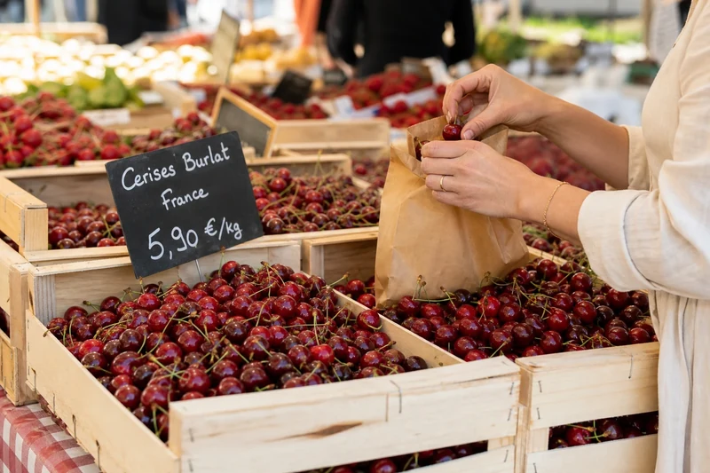 Étal de cerises Burlat françaises sur un marché de producteurs en juin