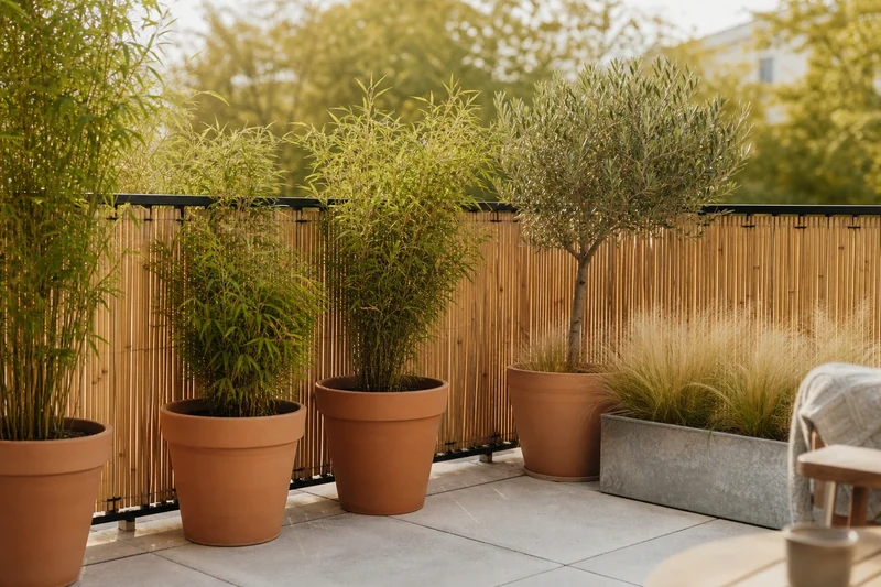 Brise-vue en bambou et pots de plantes installés le long d'une rambarde de balcon