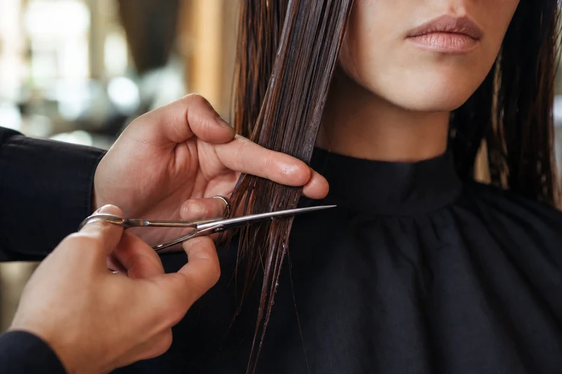 Coupe précise au niveau de la mâchoire — la signature technique du Japanese Bob