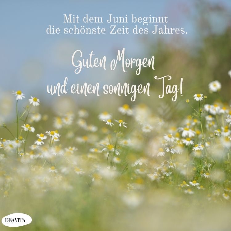 Bonjour juin : images gratuites pour bien commencer la journée