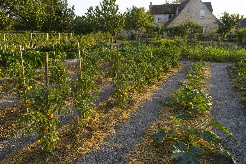 Potager remis en état 48 heures après les fortes pluies de juin