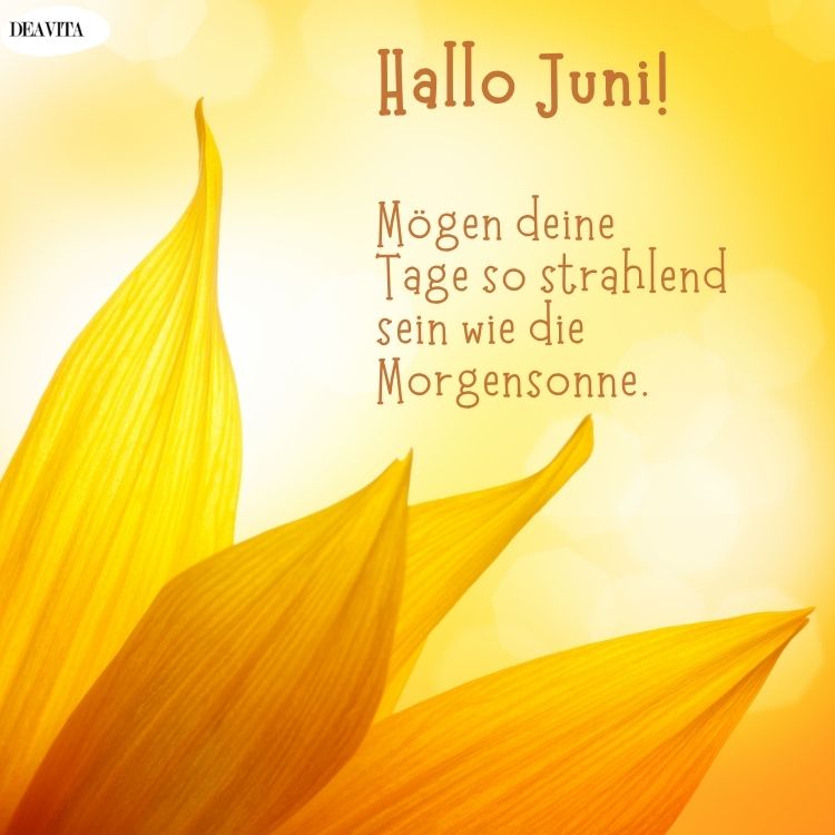 Bonjour juin : images gratuites pour bien commencer la journée
