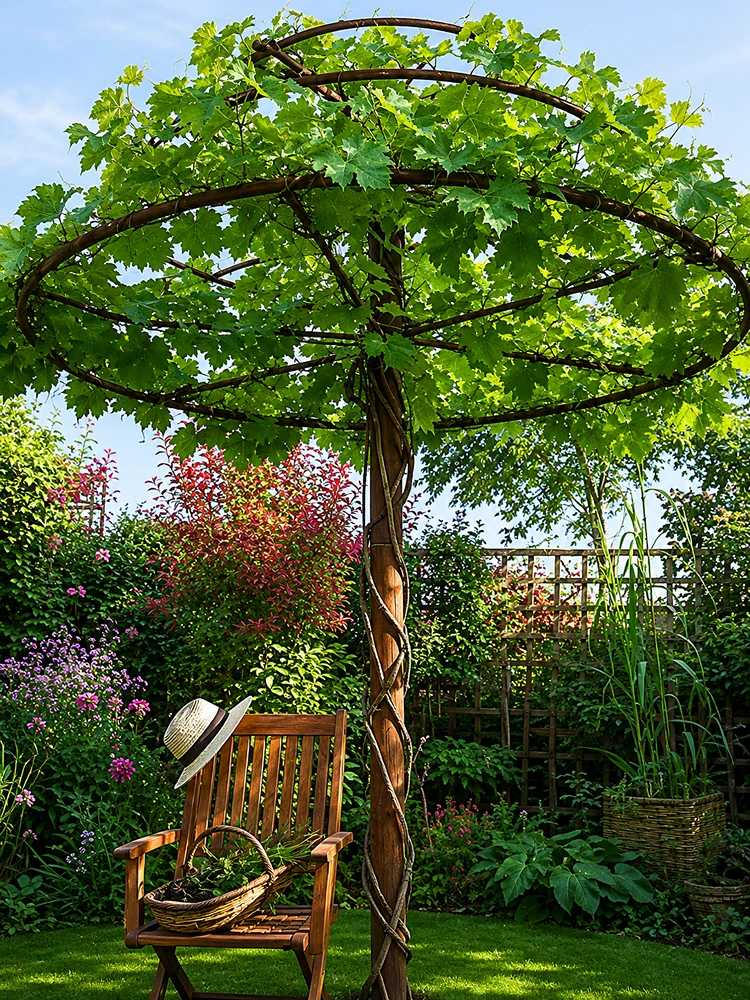 Parasol vivant : créer un abri végétal avec des plantes grimpantes