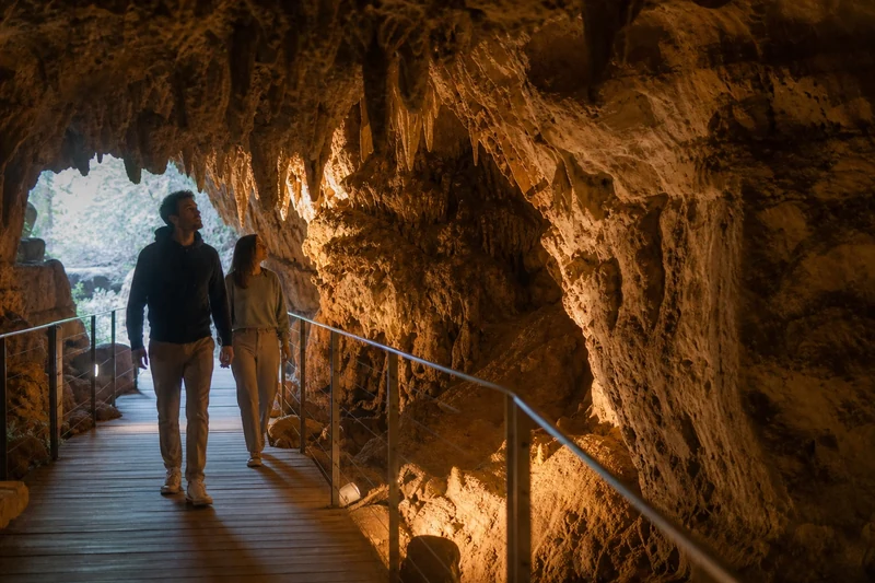 Entrée fraîche d'une grotte calcaire aménagée pour la visite en France