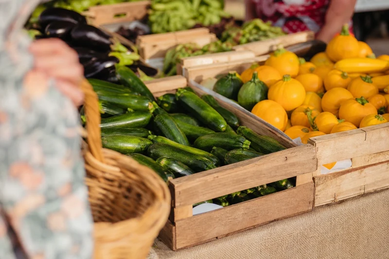 Étal de courgettes de Provence sur un marché français en juin