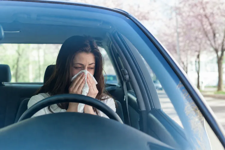 Femme éternuant dans un mouchoir au volant de sa voiture, arbres en fleurs au printemps derrière le pare-brise