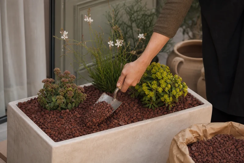 Pose du paillage minéral de pouzzolane sur la jardinière plantée