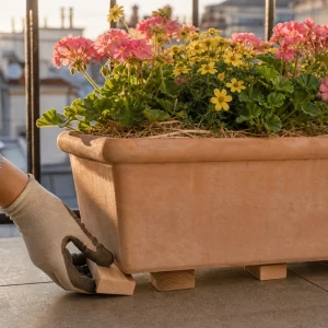 Main qui glisse des cales en bois sous une jardinière de géraniums pour la protéger de la dalle brûlante