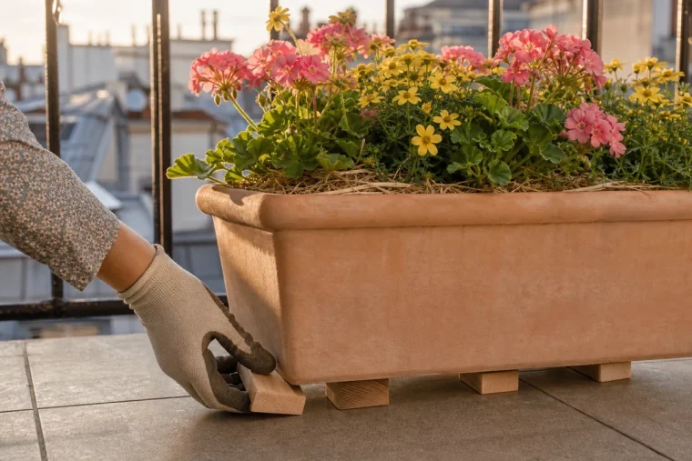 Main qui glisse des cales en bois sous une jardinière de géraniums pour la protéger de la dalle brûlante