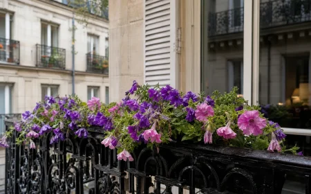 Jardinière de pétunias violets et roses affalés après un orage sur un balcon parisien