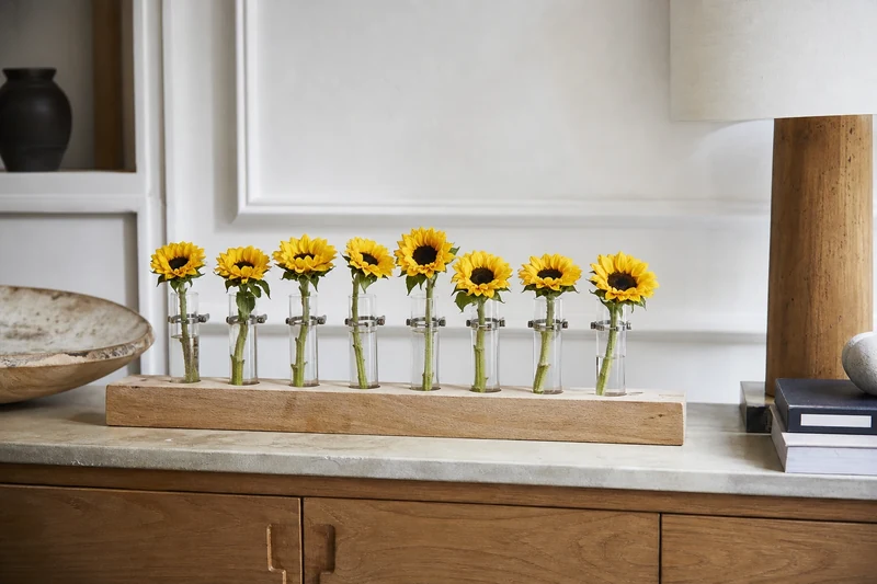 Planche en bois avec huit tubes en verre alignés, chacun garni d'un tournesol nain