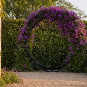 Cadre de trampoline recyclé en arche végétalisée avec clématites violettes à l'entrée d'un jardin